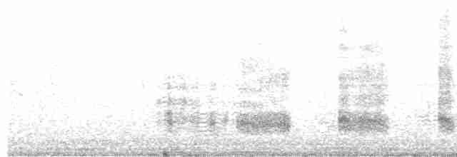 אנפית מנגרובים (דרום אמריקנית) - ML612383923