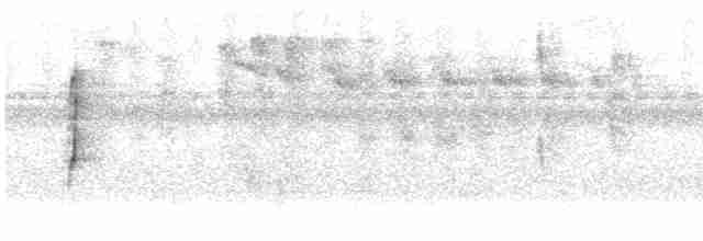 Короткокрылая эления - ML612386267