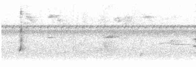 Короткокрылая эления - ML612386412
