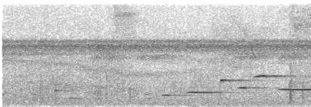 Troglodyte arada - ML612389939