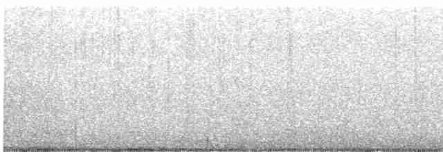 Дятел-смоктун білочеревий - ML612390310