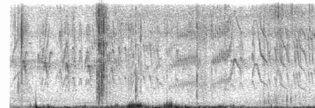 Светлоголовая якамара - ML612391514