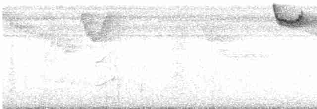 Riperyan Çıtkuşu - ML612392426