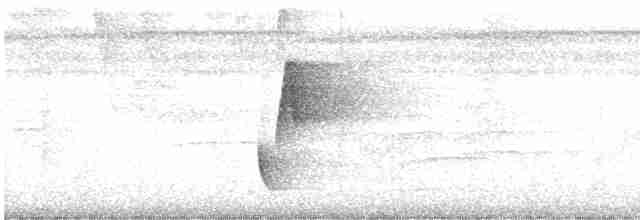 Поплітник смугастий - ML612392428