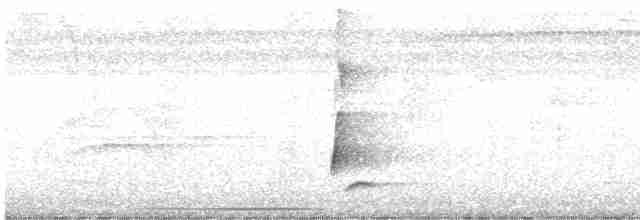 Riperyan Çıtkuşu - ML612392429