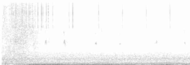 Troglodyte des forêts - ML612396536