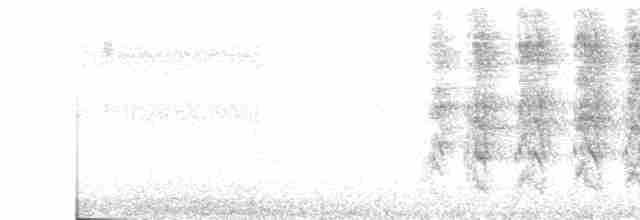 Turuncu Alınlı Papağan - ML612397627