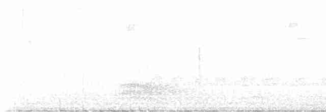 Аистоклювый гуриал - ML612401124