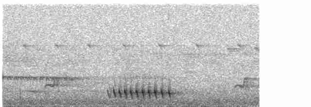 Surukua Trogonu (aurantius) - ML612401895