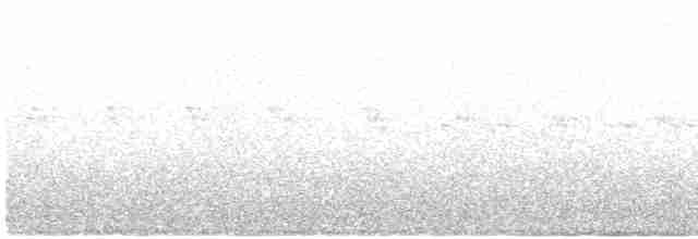 Kara Kulaklı Bityiyen - ML612401970
