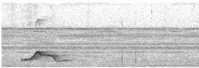 Pauraquenachtschwalbe - ML612402447