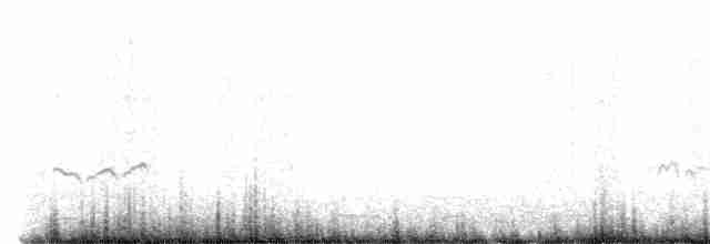 Gray-tailed Tattler - ML612403869