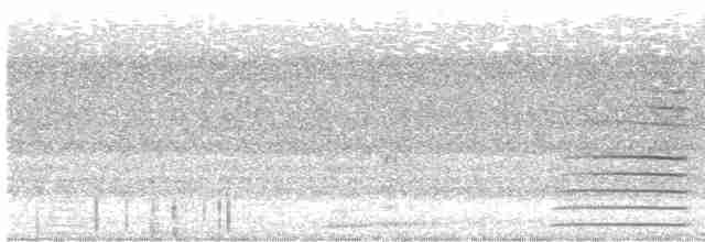 Какатоїс буроголовий - ML612404734