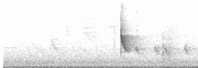 Bulbul cap-nègre - ML612410068