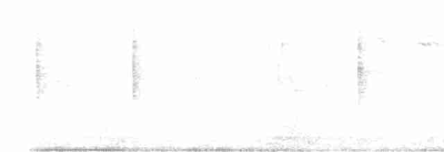 Phrygile à tête grise - ML612410079