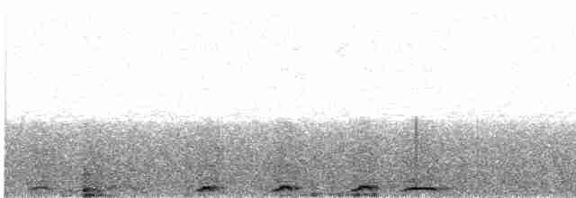 Сова неоарктична - ML612411273