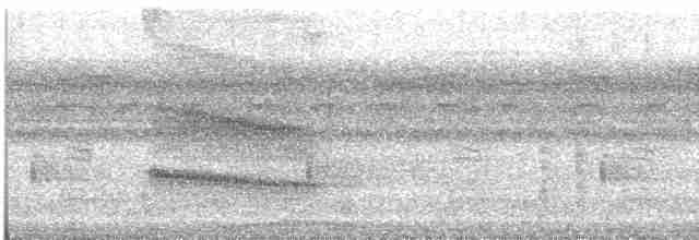 Серохохлая чубатка - ML612412543