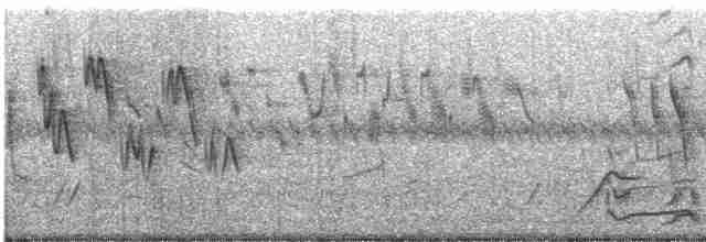 Пестроголовая чубатка - ML612412635