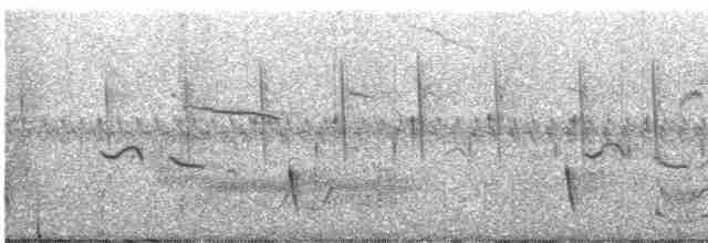 Пестроголовая чубатка - ML612412638