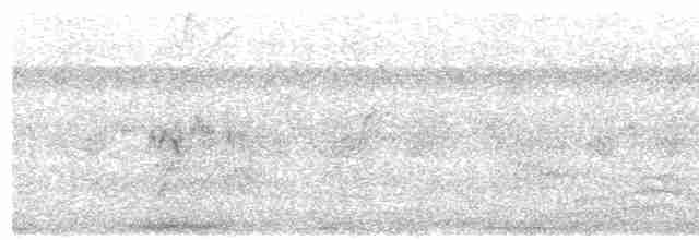 אנפית מנגרובים - ML612414167
