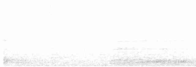 Ubarroi handia - ML612415615