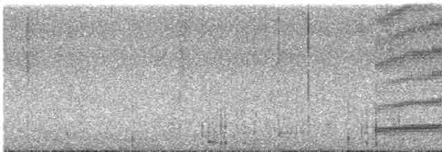 Kuzeyli Bükük Gagalı Tiran - ML612425511