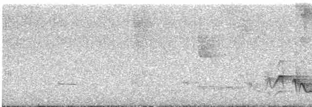 Kızıl Kaşlı Koca Vireo (insularis) - ML612425586