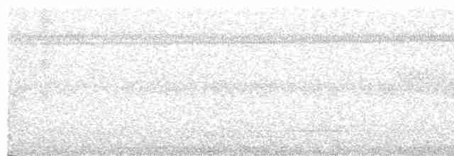 Chevêchette cuculoïde - ML612428752