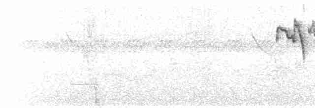 Серобрюхий колибри-отшельник - ML612429848