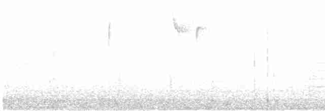 Пересмішник сірий - ML612433169