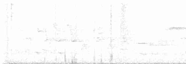 Boyalı Horoz Kekliği - ML612440933