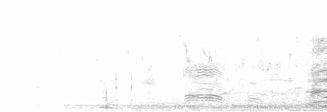 Lavandera Cetrina - ML612442834