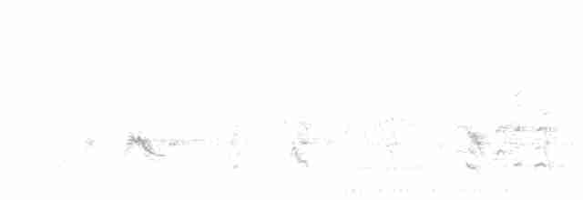 Горихвістка синьолоба - ML612443122