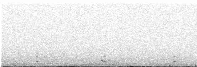Серогрудый зобатый бегунок - ML612443720