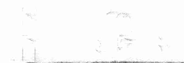 Bulbul noir (groupe leucocephalus) - ML612445726