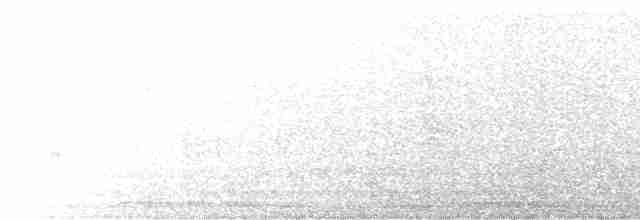 Горихвістка водяна - ML612446215