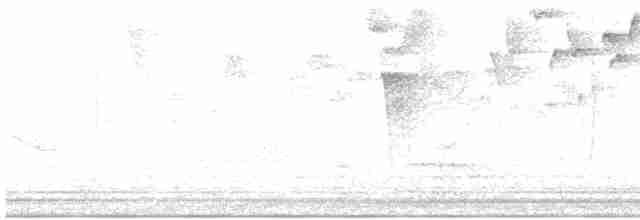 Troglodyte montagnard - ML612447899