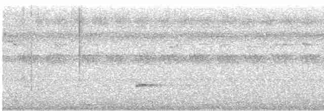 Great Eared-Nightjar - ML612448477
