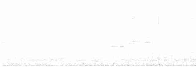 White-sided Flowerpiercer - ML612448950