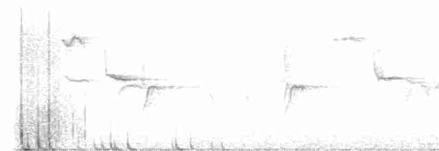 Шишкар ялиновий - ML612449551