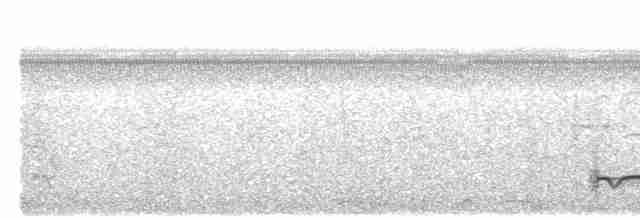 Лінивка-смугохвіст плямистобока (підвид striatipectus) - ML612449723