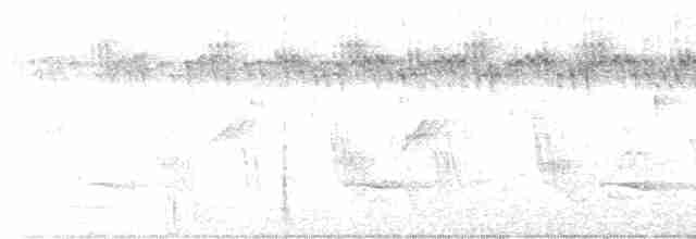 斑翅鳳頭鵑 - ML612449823