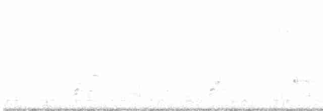 Белоголовый орлан - ML612454366
