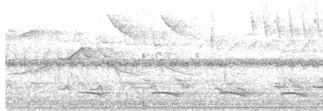Atlantik Kara Gerdanlı Trogonu - ML612454609