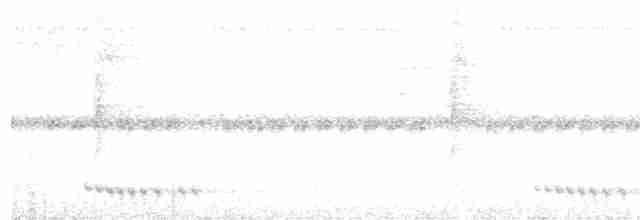 Surukua Trogonu (surrucura) - ML612454612