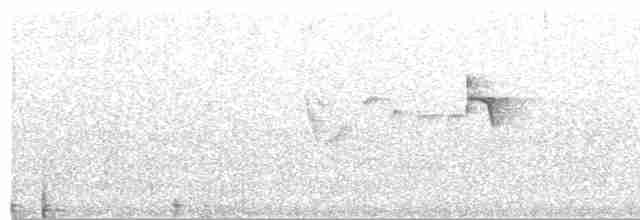 Short-crested Flycatcher - ML612458579