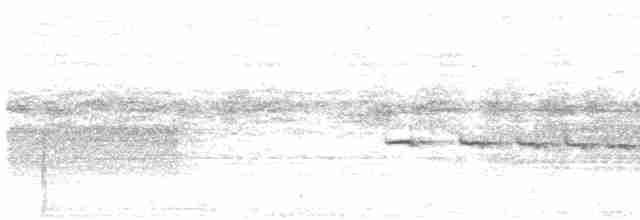Rotschwanz-Ameisenvogel - ML612460090