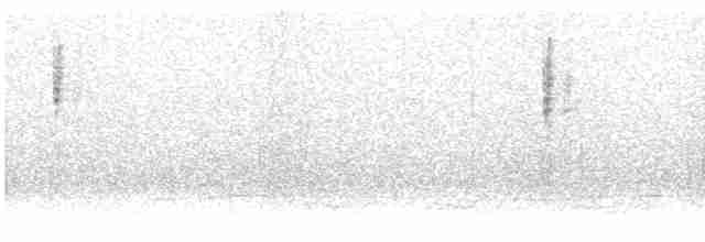 lesňáček hvězdičkový (ssp. celata/orestera) - ML612470988