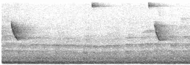 Conirostre roux - ML612471278