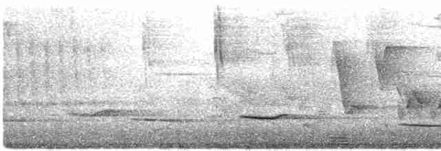 Трупіал чорнокрилий - ML612471308